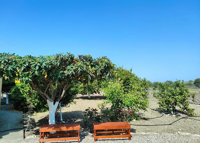 East View Daire Kalavárda